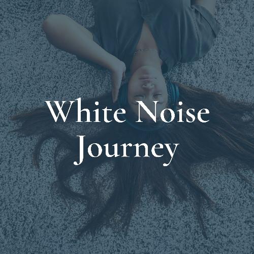 White Noise Journey_poster_image