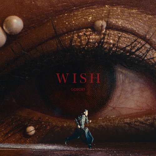 Wish_poster_image