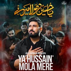 Ya Hussain Mola Mere