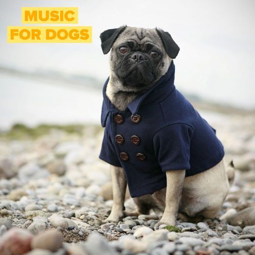 music for dogs, Pt. 1_poster_image