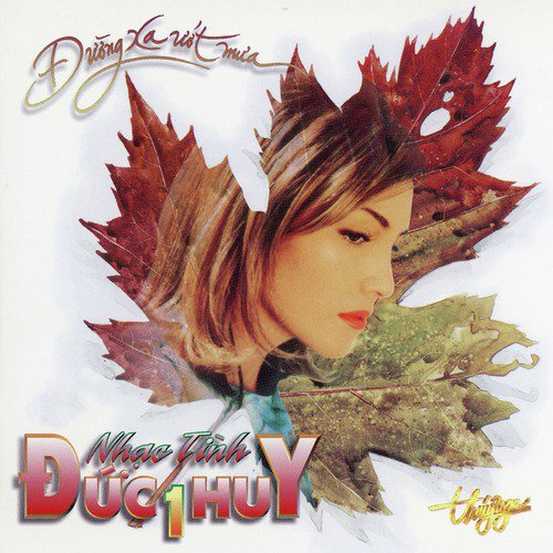 Đương Xa Ướt Mưa - Nhạc Tình Đức Huy