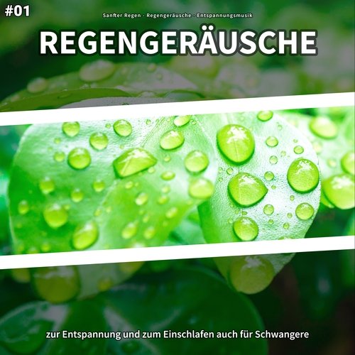 Regengeräusche cover art