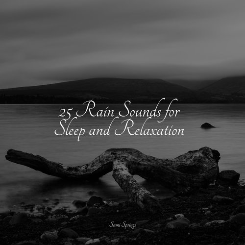 Rain, Storm and Thunder cover art