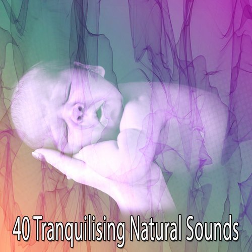 40 Tranquilising Natural Sounds