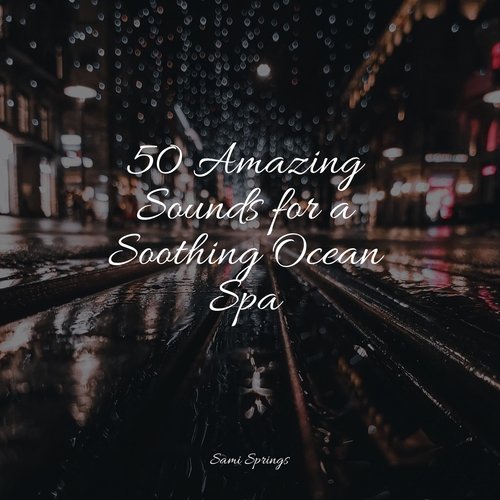 50 Amazing Sounds for a Soothing Ocean Spa_poster_image