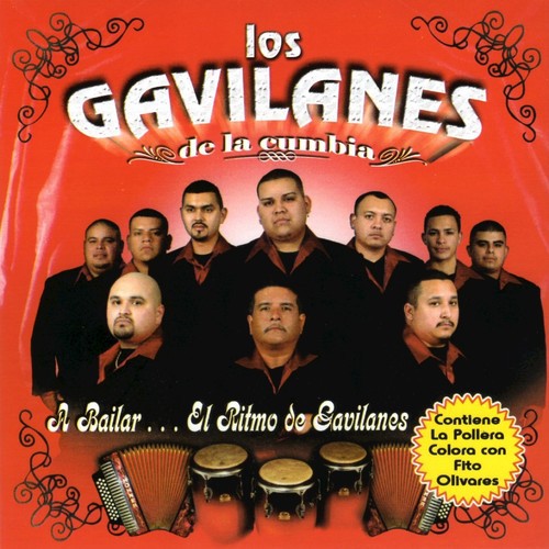 Al Bailar El Ritmo de Gavilanes_poster_image