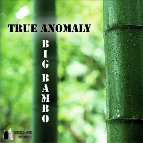 True Anomaly