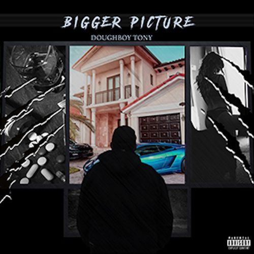 Bigger Picture_poster_image