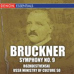 Symphony No. 9 in D Minor: I. Feirlich, Misterioso