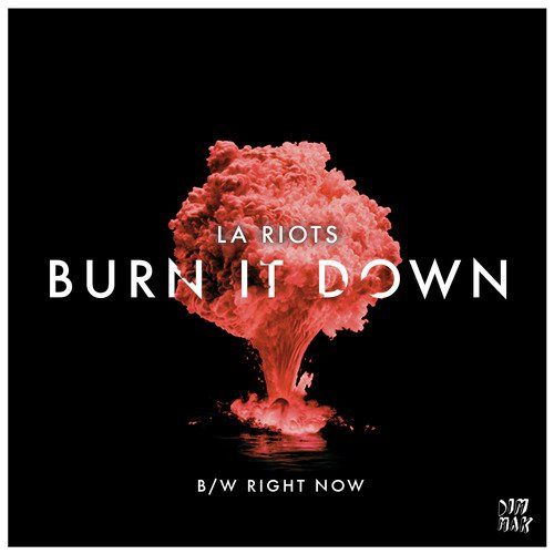 Burn It Down_poster_image