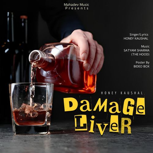 DAMAGE LIVER