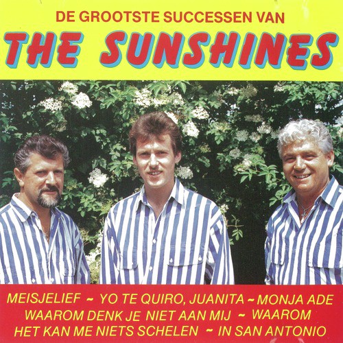 De grootste successen van The Sunshines