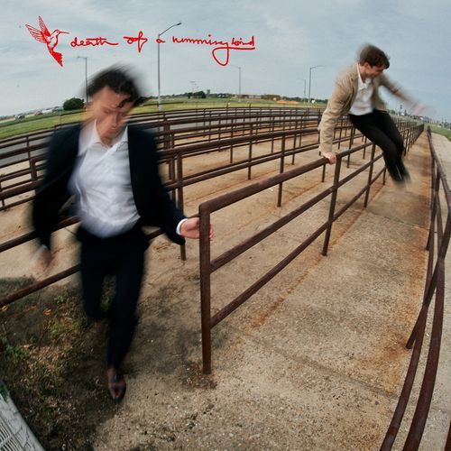 Death of a Hummingbird cover art