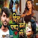 Dil Patthar Bana Lihe