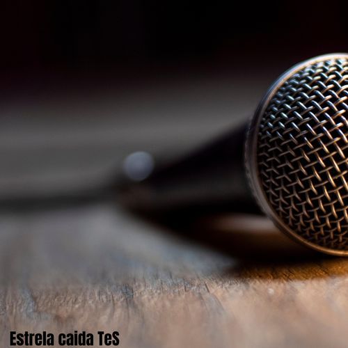Estrela caida TeS cover art