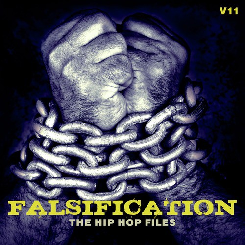 Falsification: The Hip Hop Files, Vol. 11