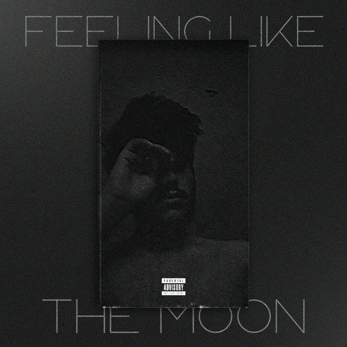 Feeling Like The Moon