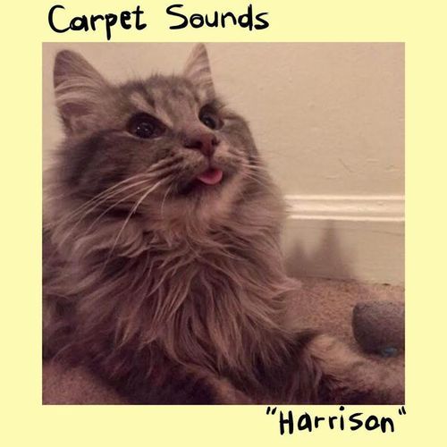 Harrison cover art