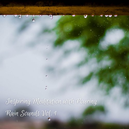 Exotic Birds Sounds in the Rain cover art