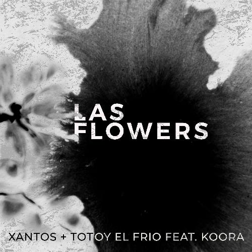 Las Flowers_poster_image