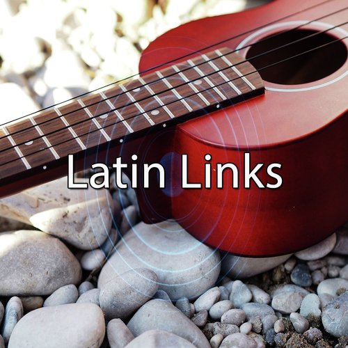 Latin Links_poster_image