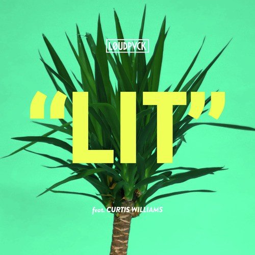 Lit (feat. Curtis Williams)