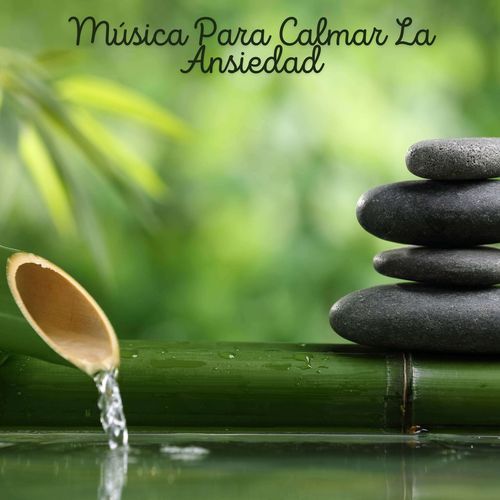 Calma Y Paz cover art