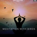 Meditation With Birds