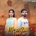 Mera Dil Rove Se