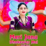 Meri Janu Dhokewaz Hai