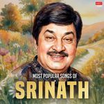 Vedanti Helidhanu (From "Manasa Sarovara")