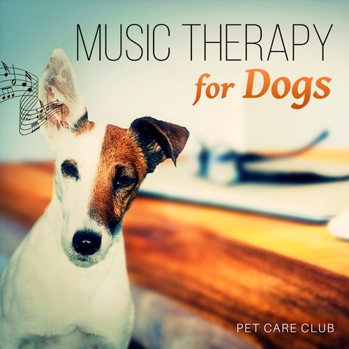 Music Therapy for Dogs – Calming Music to Relax and Calm Down Your Dog, Pet Relaxation, Relieve Stress and Anxiety, Sleep Aids