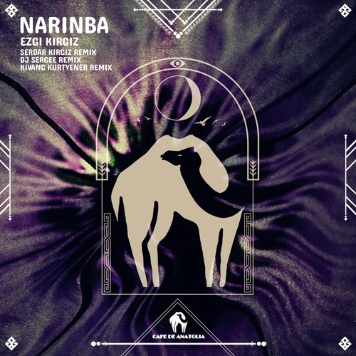 Narinba (Dj Sergee Remix) cover art