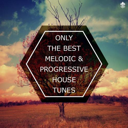 Only The Best Melodic & Progressive House Tunes