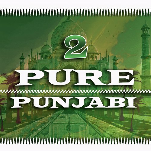Pure Punjabi 2