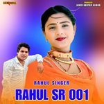 Rahul SR 001