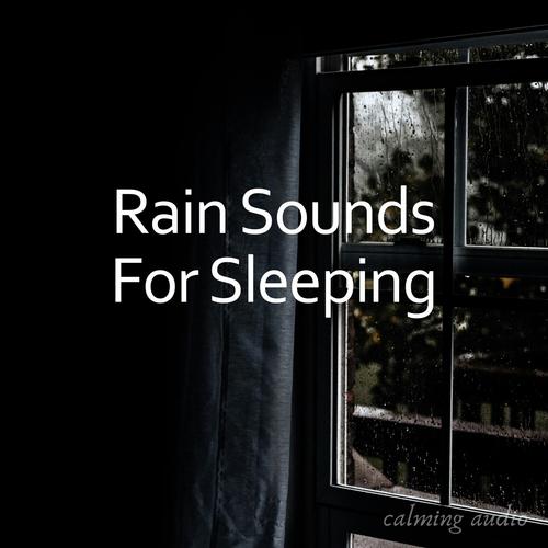 Rain Sounds for Sleeping_poster_image