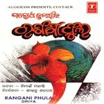 Aaji Odissare Matileni