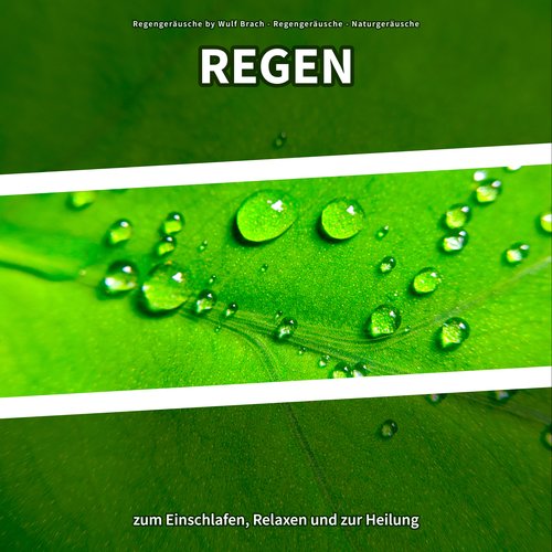 Regengeräusche cover art