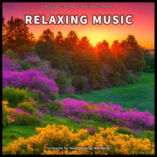 ! ! ! ! Relaxing Music to Unwind, for Sleep, Studying, Well-Being