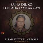 Sajan Dil Kun Tedi Ada