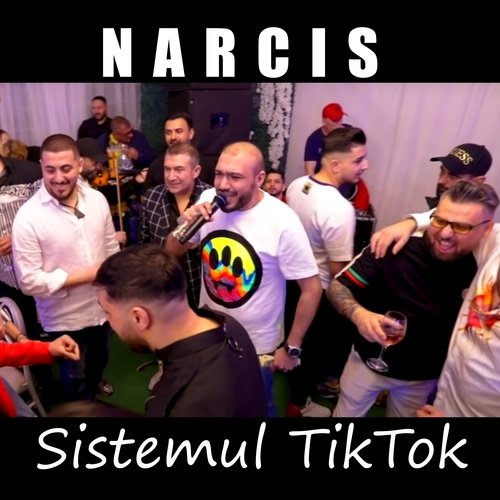 Sistemul TikTok (Live)_poster_image