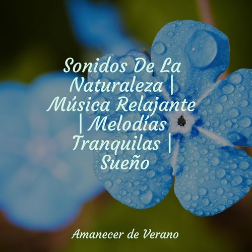 Sonidos De La Naturaleza | Música Relajante | Melodías Tranquilas | Sueño_poster_image