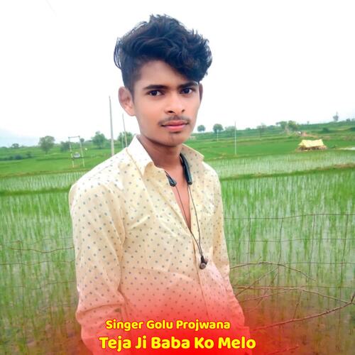 Teja Ji Baba Ko Melo