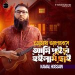 Tomay Valobeshe Ami Puira  Hoilam Chai