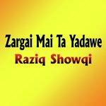 Zargai Mai Ta Yadawe