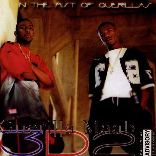 3D2: In The Mist Of Guerillass