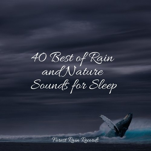 Storm & Wind Outside cover art
