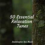 Unwind, De-Stress