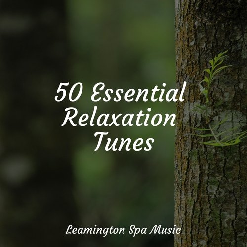 50 Essential Relaxation Tunes